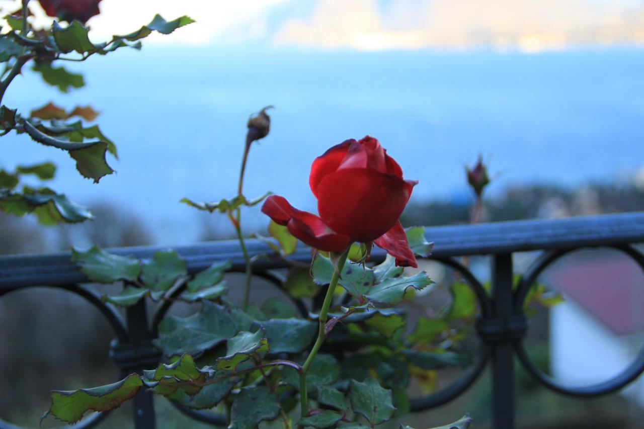 Alba Sul Lago B&B Stresa Eksteriør bilde