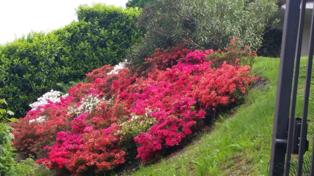 Alba Sul Lago B&B Stresa Eksteriør bilde